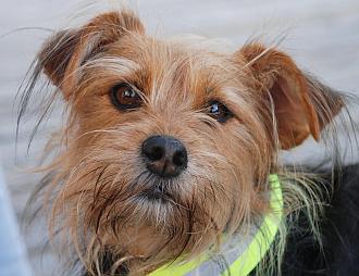 Tilly