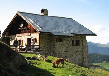 K&uuml;htaile