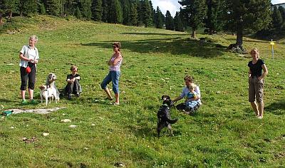 animal learn f&uuml;r Hunde