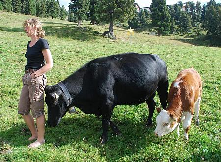 animal learn f&uuml;r K&uuml;he