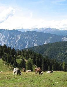 Aussicht