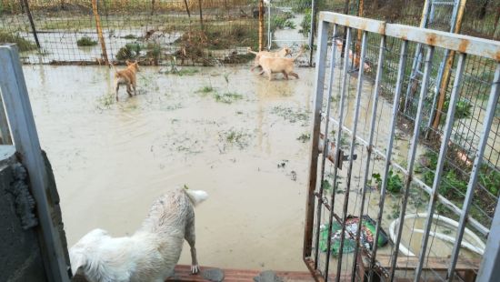 Flut in Kalabrien