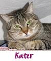 Link zu Katern