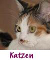 Link zu Katzen