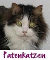 Link zu Patenkatzen
