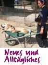 Neues & Alltag