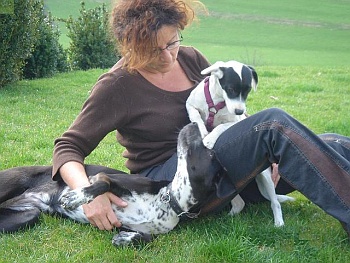 gl&uuml;ckliche Hunde und Menschen