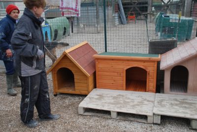 neue Hütten im großen Rudel