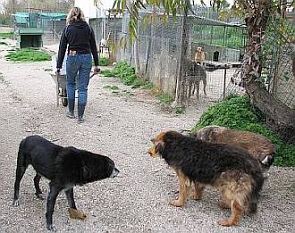 Ella, Nerone und Cicciolina, die alten Haudegen