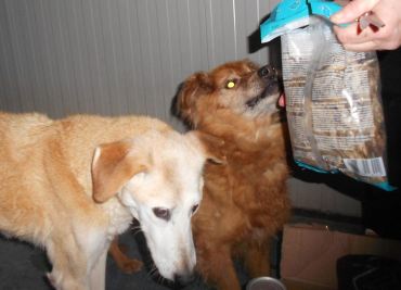 Kika und Billino