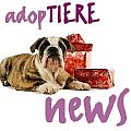 Newsletter-Special Weihnachten 2012