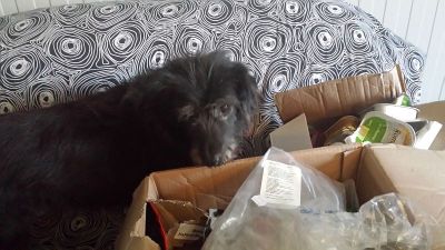 Lulu