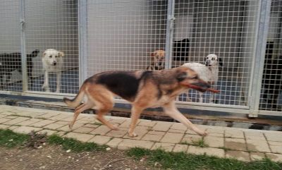 Milo und Shila